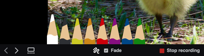 doodle_options.png