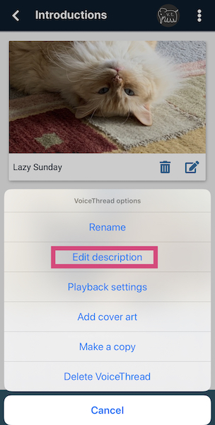 Screenshot of the edit description menu