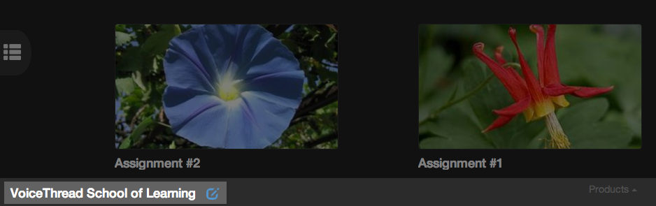 CustomizeVTHome3